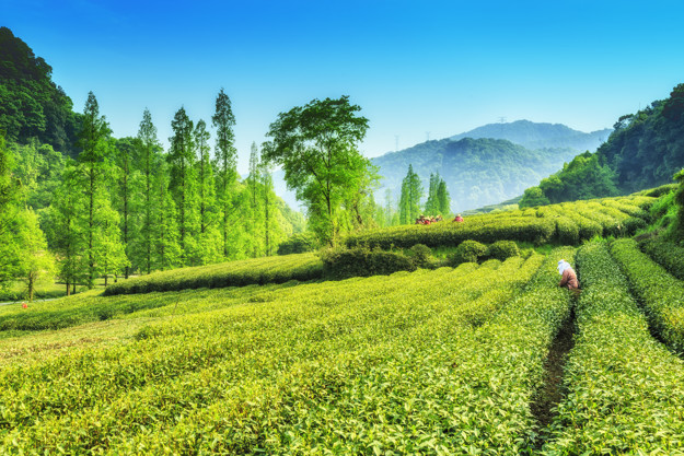 Agriculture
